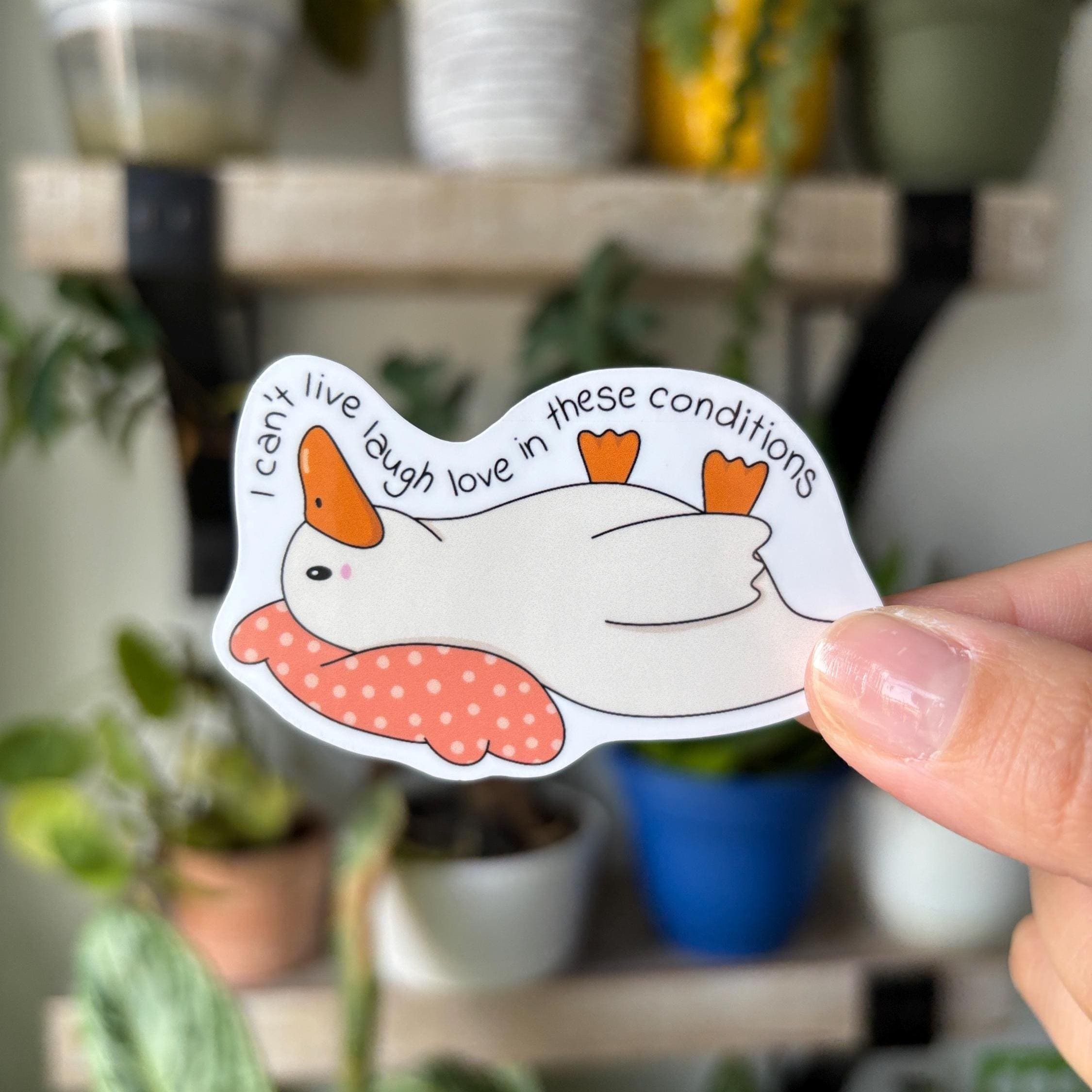 I Can’t Live Laugh Love in These Conditions Vinyl Sticker