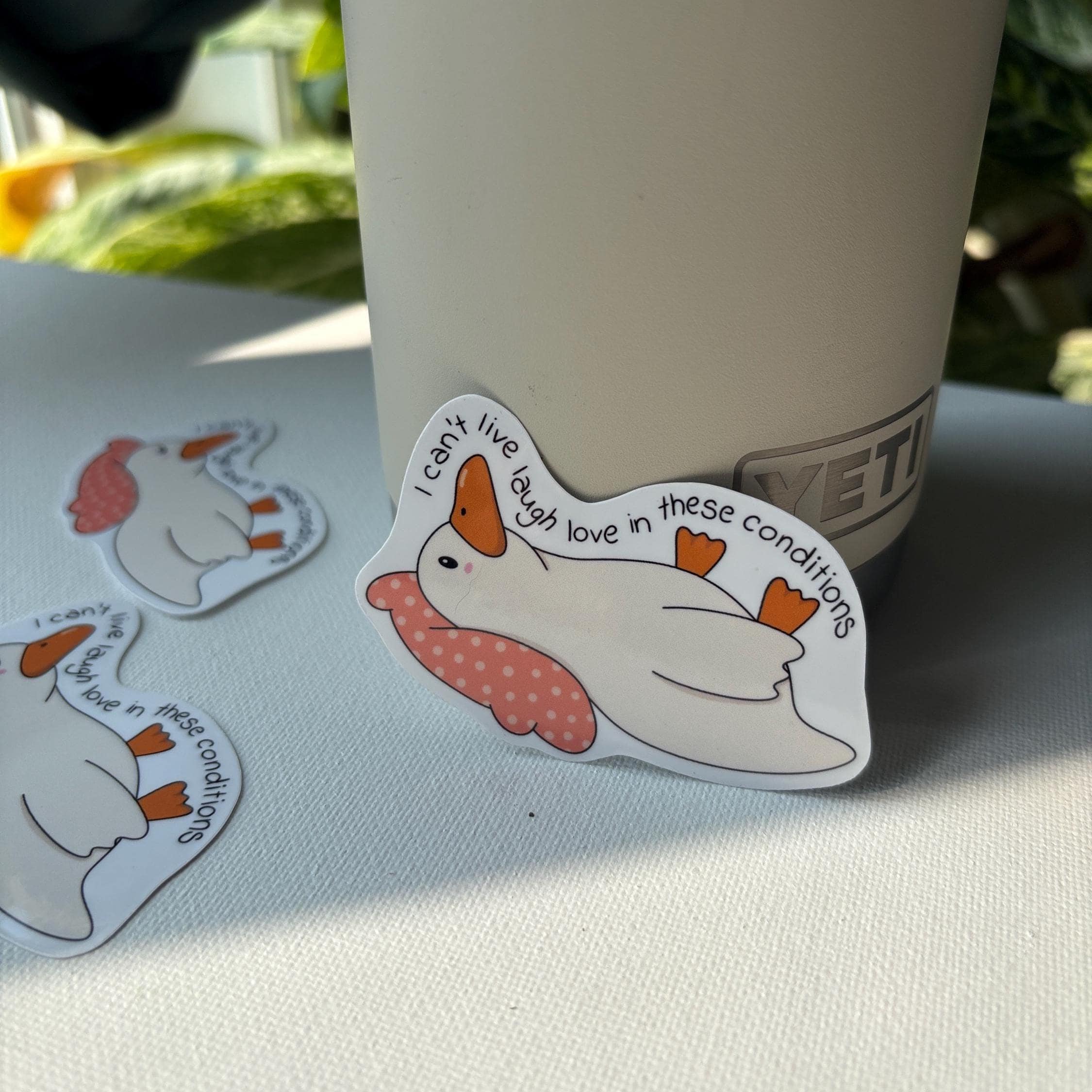 I Can’t Live Laugh Love in These Conditions Vinyl Sticker