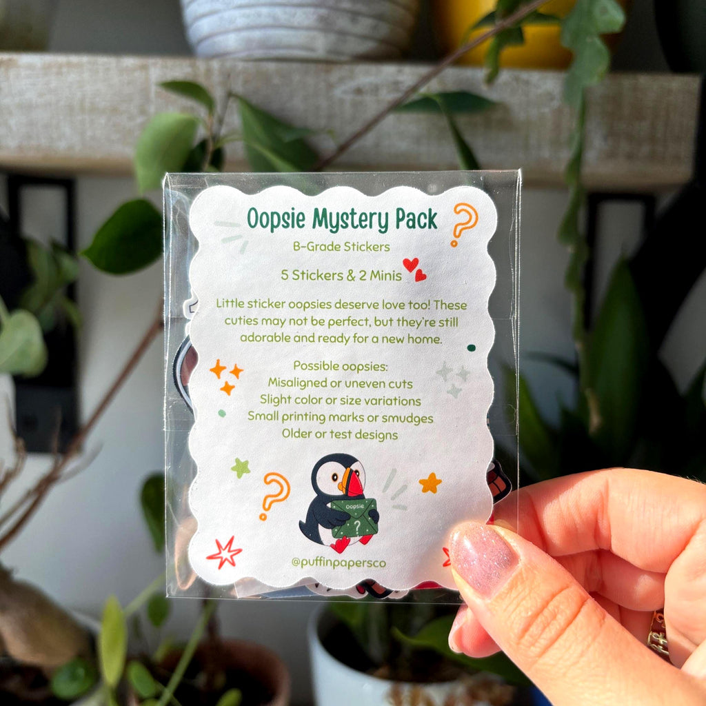 Oopsie Myster Sticker Bag